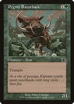 Pygmy Razorback — Prophecy