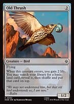 Old Thrush — The Hobbit