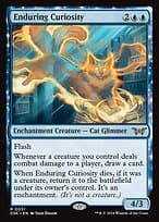 Enduring Curiosity — Duskmourn: House of Horror