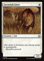 Savannah Lions — Foundations