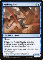 Aerial Guide — Hour of Devastation