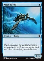 Aegis Turtle — Foundations
