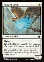 Healer's Hawk — Foundations