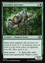 Loxodon Surveyor — Aetherdrift
