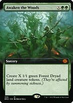 Awaken the Woods — The Brothers' War