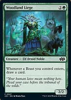 Woodland Liege — Foundations Jumpstart