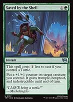 Saved by the Shell — Teenage Mutant Ninja Turtles